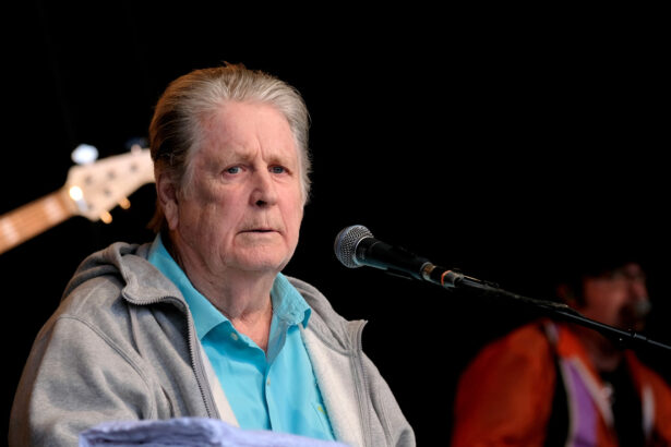 Brian Wilson (fot. DFP Photographic / Shutterstock.com)