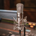 Warm Audio WA-87 R2 (fot. Warm Audio)
