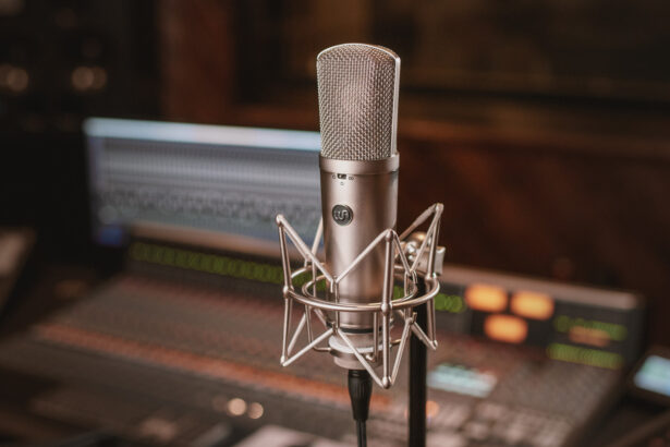 Warm Audio WA-87 R2 (fot. Warm Audio)