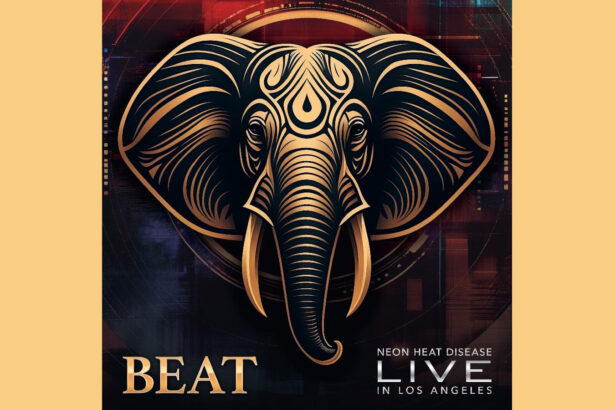 BEAT „Live” (fot. InsideOut Music / Sony Music)