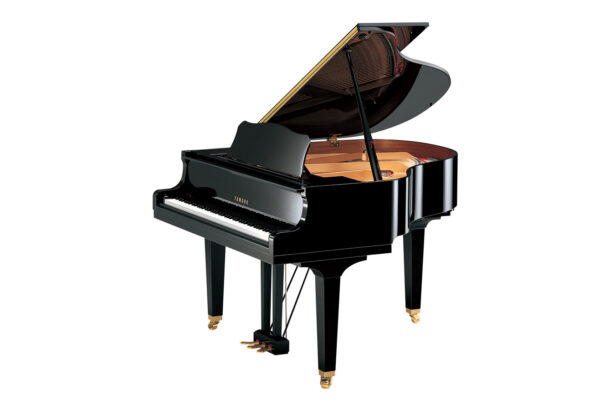 Yamaha GB1K PE (fot. Yamaha)