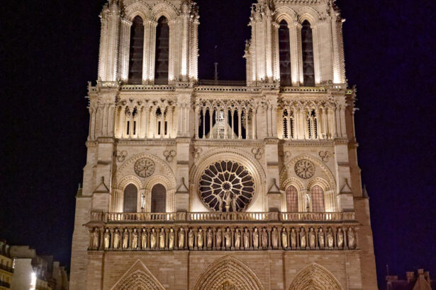 Notre-Dame de Paris (fot. Yannick Boschat)