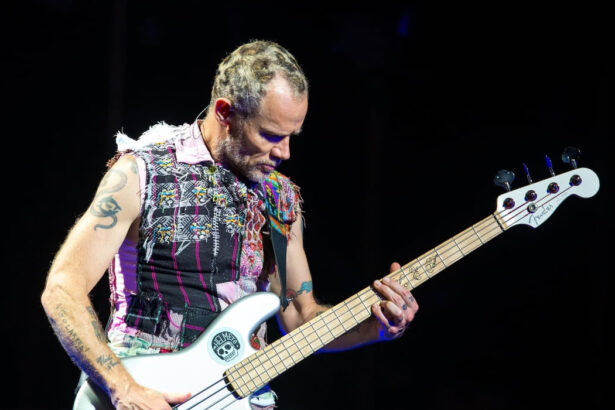 Flea (fot. Christian Bertrand / Shutterstock.com)