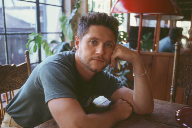 Niall Horan „Dinner Party” (mat. prasowe Universal Music Polska)