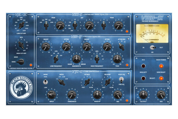 Black Rooster Audio VWB-1X (fot. Black Rooster Audio)