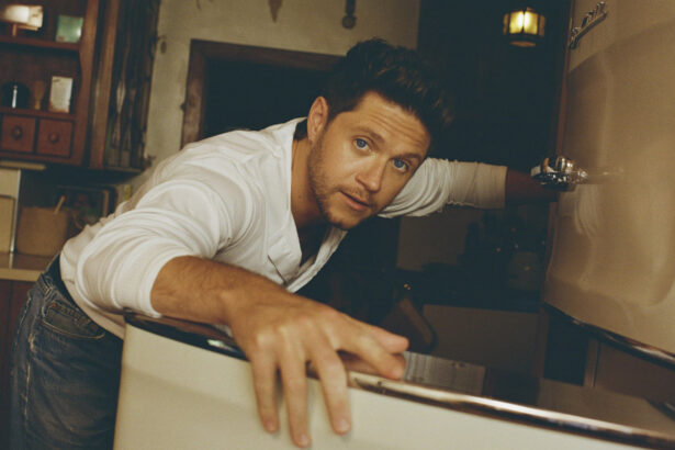 Niall Horan „Little More Time” (mat. prasowe Universal Music Polska)
