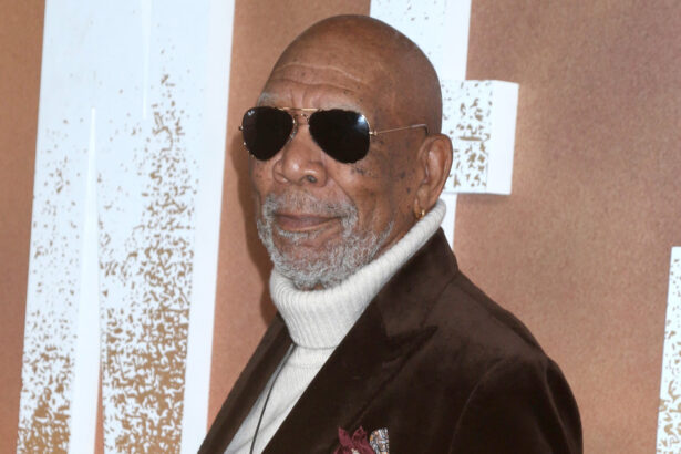 Morgan Freeman (fot. Kathy Hutchins / Shutterstock.com)
